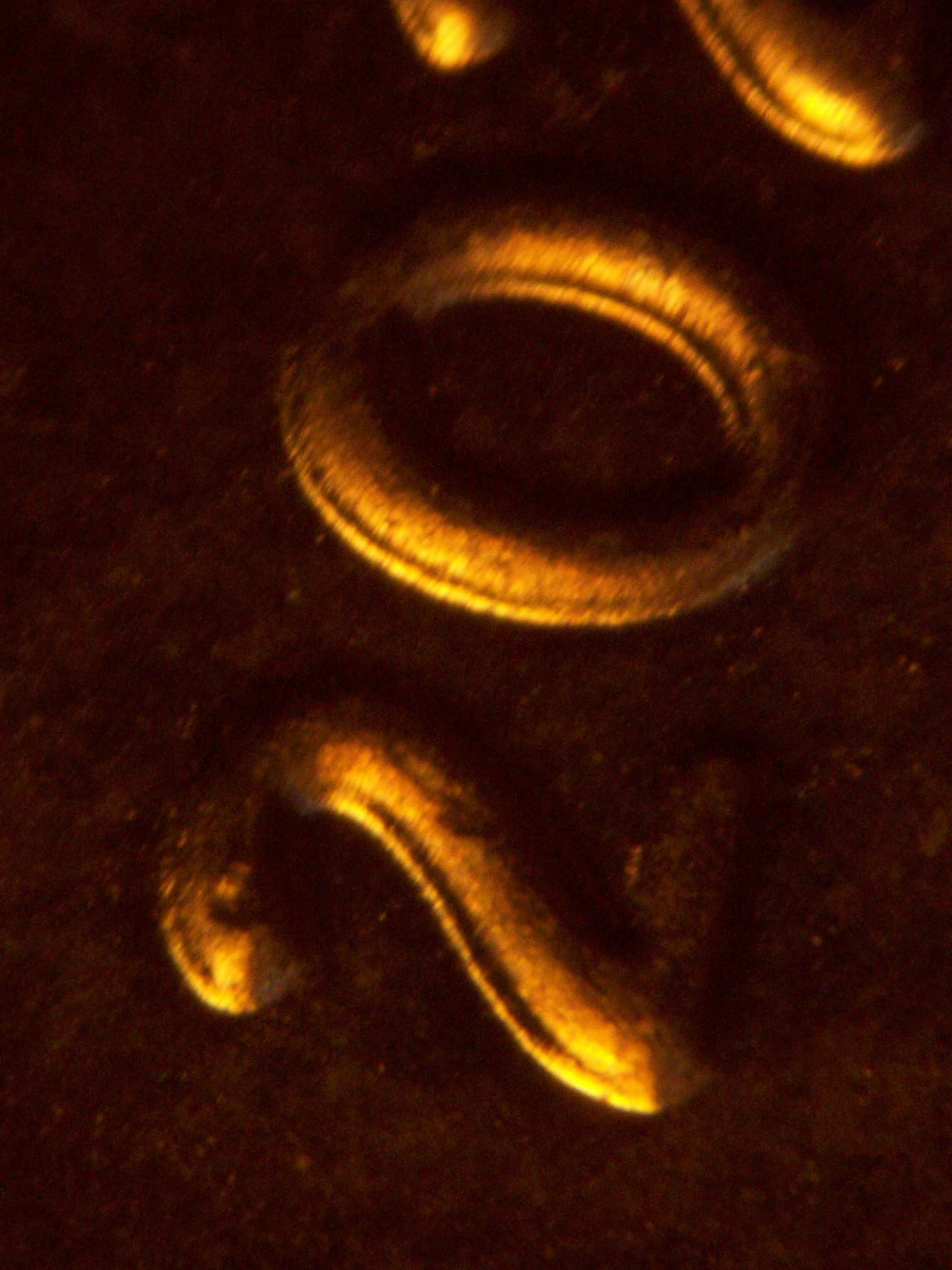 2021-P-Lincoln-Shield-Cent-New-Discovery-Doubled-Die-OBV-On-Date-Extra-Thick-And-Ust-Very-Minor
